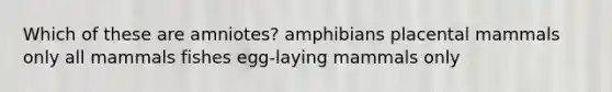 Which of these are amniotes? amphibians placental mammals only all mammals fishes egg-laying mammals only