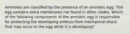 Amniotes are classified by the presence of an amniotic egg. This egg contains extra membranes not found in other clades. Which of the following components of the amniotic egg is responsible for protecting the developing embryo from mechanical shock that may occur to the egg while it is developing?