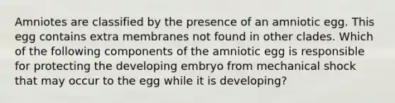 Amniotes are classified by the presence of an amniotic egg. This egg contains extra membranes not found in other clades. Which of the following components of the amniotic egg is responsible for protecting the developing embryo from mechanical shock that may occur to the egg while it is developing?