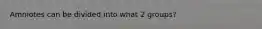 Amniotes can be divided into what 2 groups?