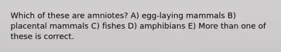 Which of these are amniotes? A) egg-laying mammals B) placental mammals C) fishes D) amphibians E) <a href='https://www.questionai.com/knowledge/keWHlEPx42-more-than' class='anchor-knowledge'>more than</a> one of these is correct.