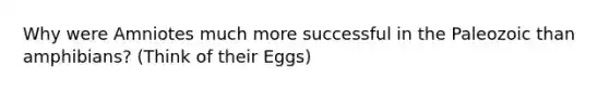 Why were Amniotes much more successful in the Paleozoic than amphibians? (Think of their Eggs)