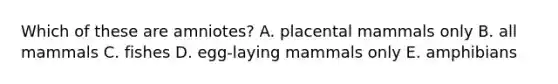Which of these are amniotes? A. placental mammals only B. all mammals C. fishes D. egg-laying mammals only E. amphibians