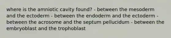 where is the amniotic cavity found? - between the mesoderm and the ectoderm - between the endoderm and the ectoderm - between the acrosome and the septum pellucidum - between the embryoblast and the trophoblast