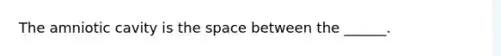 The amniotic cavity is the space between the ______.