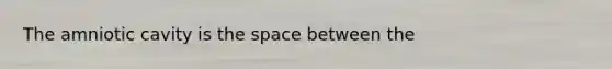 The amniotic cavity is the space between the