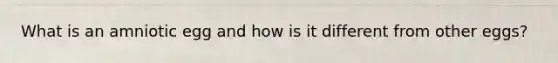 What is an amniotic egg and how is it different from other eggs?
