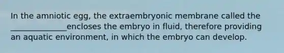 In the amniotic egg, the extraembryonic membrane called the ______________encloses the embryo in fluid, therefore providing an aquatic environment, in which the embryo can develop.