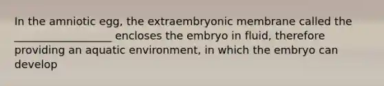 In the amniotic egg, the extraembryonic membrane called the __________________ encloses the embryo in fluid, therefore providing an aquatic environment, in which the embryo can develop