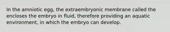 In the amniotic egg, the extraembryonic membrane called the encloses the embryo in fluid, therefore providing an aquatic environment, in which the embryo can develop.