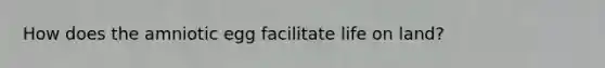 How does the amniotic egg facilitate life on land?