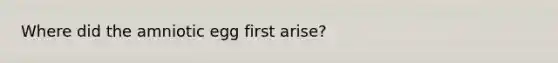 Where did the amniotic egg first arise?