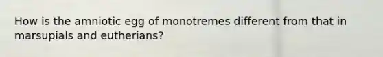 How is the amniotic egg of monotremes different from that in marsupials and eutherians?