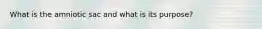 What is the amniotic sac and what is its purpose?