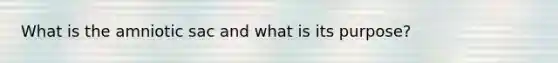What is the amniotic sac and what is its purpose?