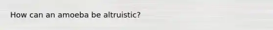 How can an amoeba be altruistic?