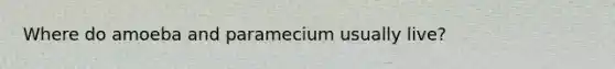 Where do amoeba and paramecium usually live?