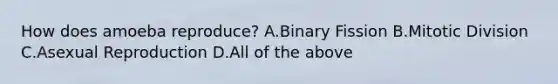 How does amoeba reproduce? A.Binary Fission B.Mitotic Division C.Asexual Reproduction D.All of the above
