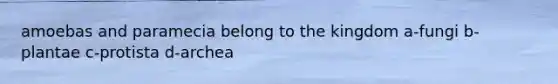 amoebas and paramecia belong to the kingdom a-fungi b-plantae c-protista d-archea