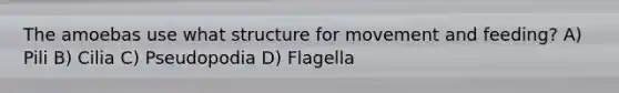 The amoebas use what structure for movement and feeding? A) Pili B) Cilia C) Pseudopodia D) Flagella