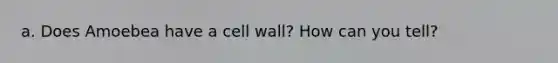 a. Does Amoebea have a cell wall? How can you tell?