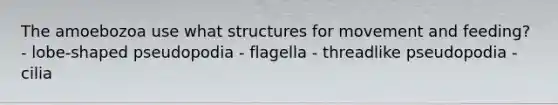 The amoebozoa use what structures for movement and feeding? - lobe-shaped pseudopodia - flagella - threadlike pseudopodia - cilia