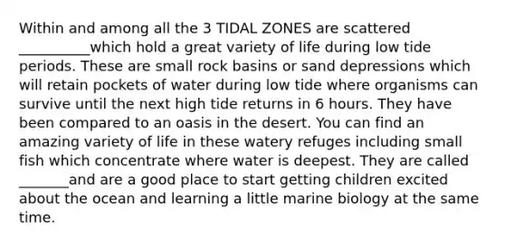 Within and among all the 3 TIDAL ZONES are scattered __________which hold a great variety of life during low tide periods. These are small rock basins or sand depressions which will retain pockets of water during low tide where organisms can survive until the next high tide returns in 6 hours. They have been compared to an oasis in the desert. You can find an amazing variety of life in these watery refuges including small fish which concentrate where water is deepest. They are called _______and are a good place to start getting children excited about the ocean and learning a little marine biology at the same time.