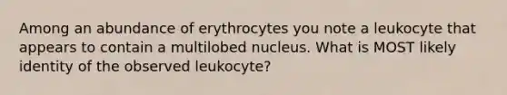 Among an abundance of erythrocytes you note a leukocyte that appears to contain a multilobed nucleus. What is MOST likely identity of the observed leukocyte?