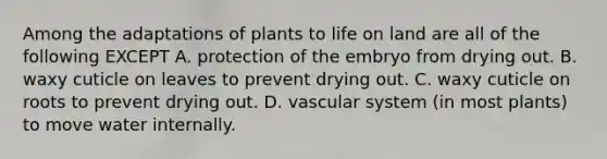 Among the adaptations of plants to life on land are all of the following EXCEPT A. protection of the embryo from drying out. B. waxy cuticle on leaves to prevent drying out. C. waxy cuticle on roots to prevent drying out. D. vascular system (in most plants) to move water internally.