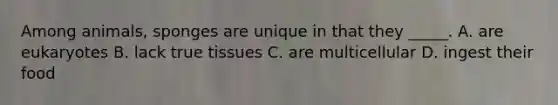 Among animals, sponges are unique in that they _____. A. are eukaryotes B. lack true tissues C. are multicellular D. ingest their food
