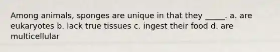 Among animals, sponges are unique in that they _____. a. are eukaryotes b. lack true tissues c. ingest their food d. are multicellular