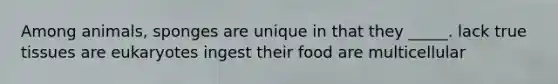 Among animals, sponges are unique in that they _____. lack true tissues are eukaryotes ingest their food are multicellular