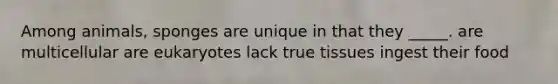 Among animals, sponges are unique in that they _____. are multicellular are eukaryotes lack true tissues ingest their food