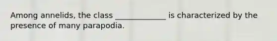 Among annelids, the class _____________ is characterized by the presence of many parapodia.