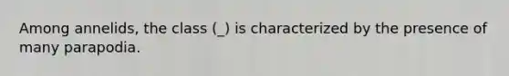 Among annelids, the class (_) is characterized by the presence of many parapodia.