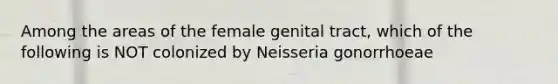 Among the areas of the female genital tract, which of the following is NOT colonized by Neisseria gonorrhoeae