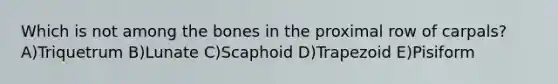 Which is not among the bones in the proximal row of carpals? A)Triquetrum B)Lunate C)Scaphoid D)Trapezoid E)Pisiform