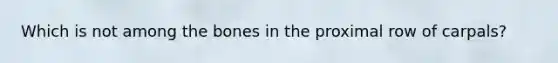 Which is not among the bones in the proximal row of carpals?