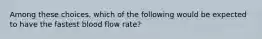 Among these choices, which of the following would be expected to have the fastest blood flow rate?