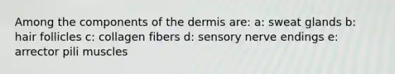 Among the components of the dermis are: a: sweat glands b: hair follicles c: collagen fibers d: sensory nerve endings e: arrector pili muscles