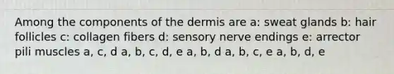 Among the components of the dermis are a: sweat glands b: hair follicles c: collagen fibers d: sensory nerve endings e: arrector pili muscles a, c, d a, b, c, d, e a, b, d a, b, c, e a, b, d, e