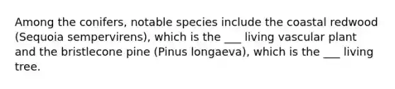 Among the conifers, notable species include the coastal redwood (Sequoia sempervirens), which is the ___ living vascular plant and the bristlecone pine (Pinus longaeva), which is the ___ living tree.