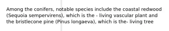 Among the conifers, notable species include the coastal redwood (Sequoia sempervirens), which is the - living vascular plant and the bristlecone pine (Pinus longaeva), which is the- living tree