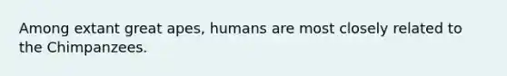 Among extant great apes, humans are most closely related to the Chimpanzees.