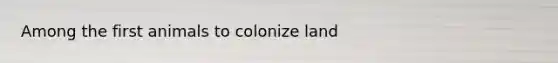 Among the first animals to colonize land