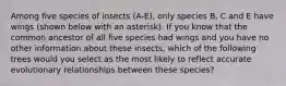 Among five species of insects (A-E), only species B, C and E have wings (shown below with an asterisk). If you know that the common ancestor of all five species had wings and you have no other information about these insects, which of the following trees would you select as the most likely to reflect accurate evolutionary relationships between these species?