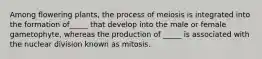 Among flowering plants, the process of meiosis is integrated into the formation of_____ that develop into the male or female gametophyte, whereas the production of _____ is associated with the nuclear division known as mitosis.