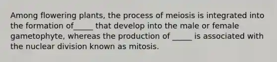 Among flowering plants, the process of meiosis is integrated into the formation of_____ that develop into the male or female gametophyte, whereas the production of _____ is associated with the nuclear division known as mitosis.