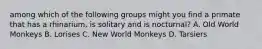 among which of the following groups might you find a primate that has a rhinarium, is solitary and is nocturnal? A. Old World Monkeys B. Lorises C. New World Monkeys D. Tarsiers