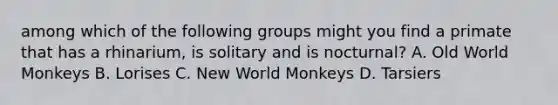 among which of the following groups might you find a primate that has a rhinarium, is solitary and is nocturnal? A. Old World Monkeys B. Lorises C. New World Monkeys D. Tarsiers